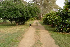 Murray Bank Holiday Units And Yabby Farm - Accommodation Gold Coast 5