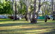 Corowa Caravan Park - thumb 4