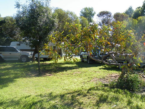 Kyalite Caravan Park - Accommodation Gold Coast 3