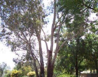 The Church House B And B - Accommodation Gold Coast 0