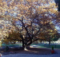 Hillview Oak Bed and Breakfast - Accommodation Gold Coast