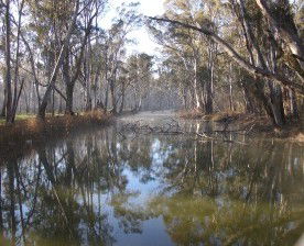 Gulpa Retreat Tourist Park - Accommodation Gold Coast 2