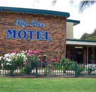 Fig Tree Motel - Accommodation Gold Coast