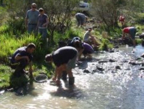 Bullock Mountain Homestead - Accommodation Gold Coast 1