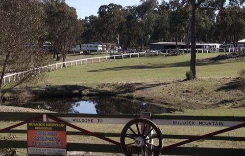 Bullock Mountain Homestead - Accommodation Gold Coast 4