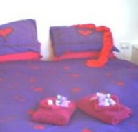 Aloomba Lavender - Accommodation - Accommodation Gold Coast