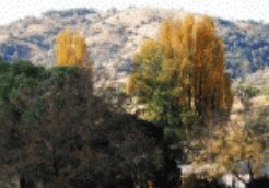Nundle NSW Accommodation Gold Coast