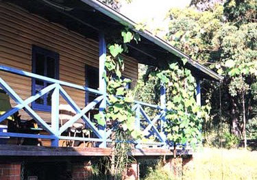 Callicoma Hill Eco-Cabins - Accommodation Gold Coast 3
