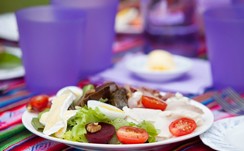 Camelot Retreat - Accommodation Gold Coast 4