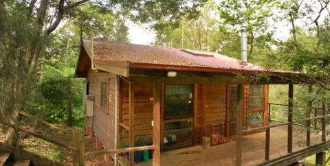 Bluegums Cabins - Accommodation Gold Coast 1