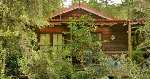 Bluegums Cabins - Accommodation Gold Coast 2