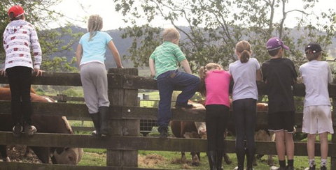 Ashmar Farm Stay - Accommodation Gold Coast 4