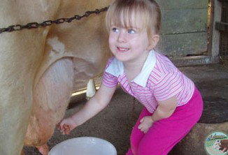 Ashmar Farm Stay - Accommodation Gold Coast 5