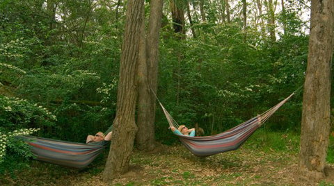 Bingle Tree Retreat - Accommodation Gold Coast 1