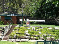 Carinya Ski Ranch - Accommodation Gold Coast 4