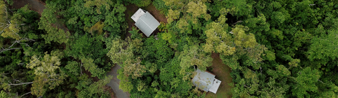 Rainforest Ranch - Accommodation Gold Coast 5