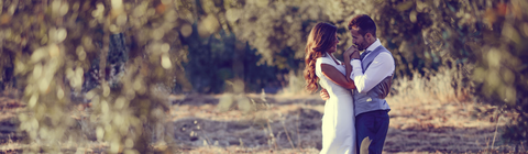 Rainforest Ranch - Accommodation Gold Coast 7