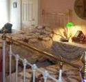A Winter-Rose Cottage Bed and Breakfast - Gold Coast 4U