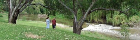 Apex Riverside Tourist Park - Accommodation Gold Coast 4