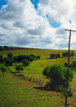 Mango Hill Cottages Bed And Breakfast - Accommodation Gold Coast 2