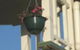 Eco Queenslander Holiday Home And B&B - thumb 2
