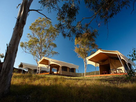 Spicers Canopy - Accommodation Gold Coast 3