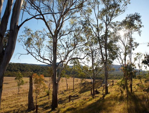 Spicers Canopy - Accommodation Gold Coast 4