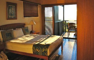 OReillys Rainforest Retreat - Accommodation Gold Coast 2