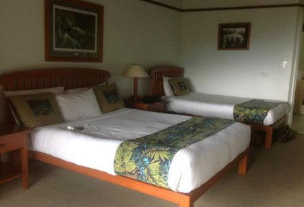 OReillys Rainforest Retreat - Accommodation Gold Coast 5