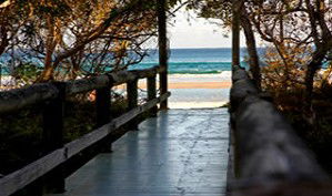 Anchorage Beachfront Island Resort - Accommodation Gold Coast 4