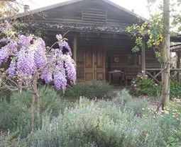 Barney Creek Vineyard Cottages - Accommodation Gold Coast 3