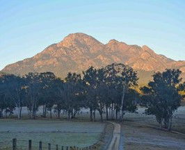Barney Creek Vineyard Cottages - Accommodation Gold Coast 5