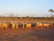 Epsilon Station - Accommodation Gold Coast 1