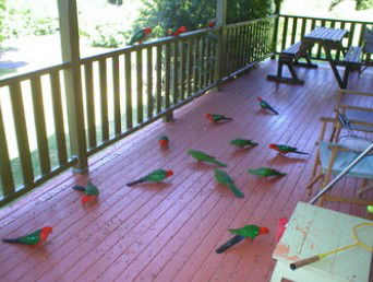 A Little Bit Of Heaven - Holiday Home - Accommodation Gold Coast 8