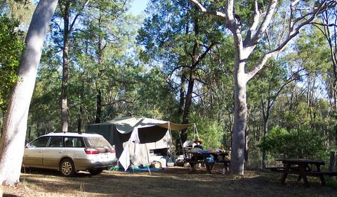 Myall Park Botanic Garden - Accommodation Gold Coast 0