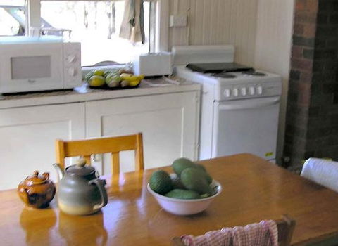 Myall Park Botanic Garden - Accommodation Gold Coast 3