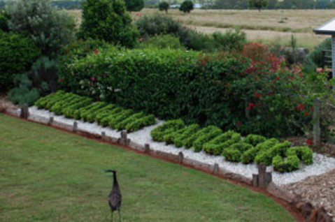 Mulanah Gardens Bed And Breakfast Cottages - Accommodation Gold Coast 5