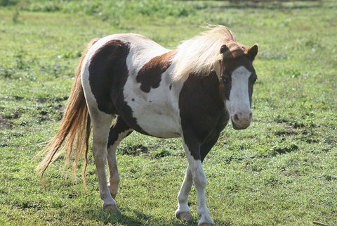Lee Farmstay - Accommodation Gold Coast 4