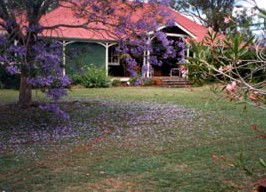 Minmore Farmstay Bed And Breakfast - Accommodation Gold Coast 0