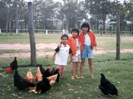 Minmore Farmstay Bed And Breakfast - Accommodation Gold Coast 1
