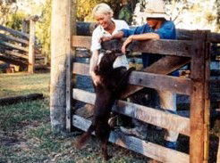 Minmore Farmstay Bed And Breakfast - Accommodation Gold Coast 2