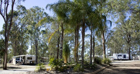 Barambah Bush Caravan Park - Accommodation Gold Coast 1