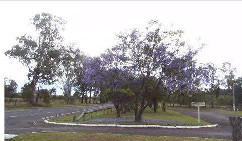 Nanango Caravan And Motorhome Park - Accommodation Gold Coast 4