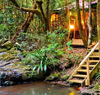 The Mouses House - Rainforest Retreat - Accommodation Gold Coast