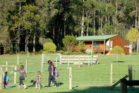 Diamond Forest Farm Stay - Accommodation Gold Coast 0