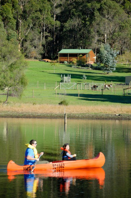 Diamond Forest Farm Stay - Accommodation Gold Coast 2