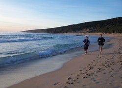 Karri Patch Cottage - Accommodation Gold Coast 1