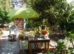 Karri Patch Cottage - Accommodation Gold Coast 3