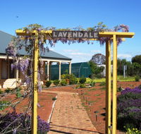 Lavendale Farmstay and Cottages - Accommodation Gold Coast