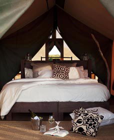 Sal Salis Ningaloo Reef - Gold Coast 4U 0